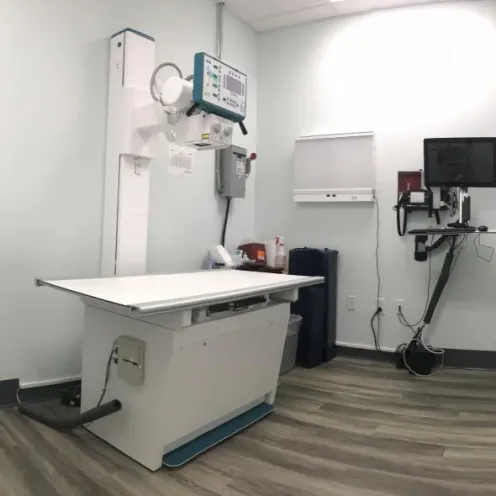 An exam room and equipment at Specialists in Companion Animal Neurology (SCAN)'s Naples office